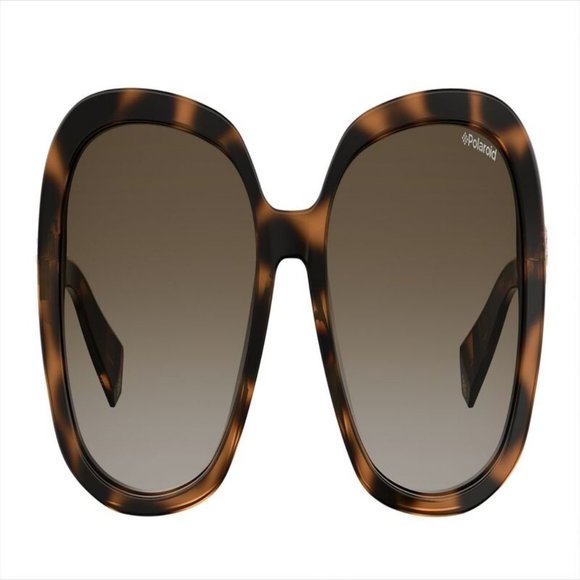 Polaroid Square Unisex Havana Acetate Frame